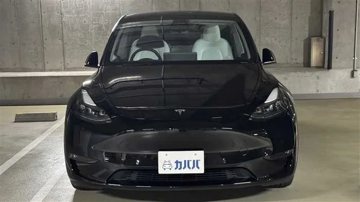 Tesla Motors Others 2024 — миниатюра 2