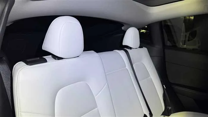 Tesla Motors Others 2024 — миниатюра 5