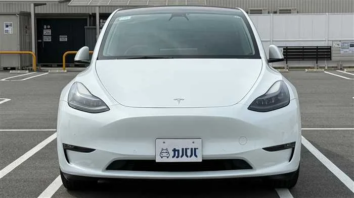 Tesla Motors Others 2023 — миниатюра 2