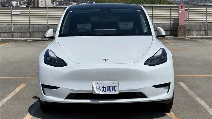 Tesla Motors Others RWD 2023 — миниатюра 2
