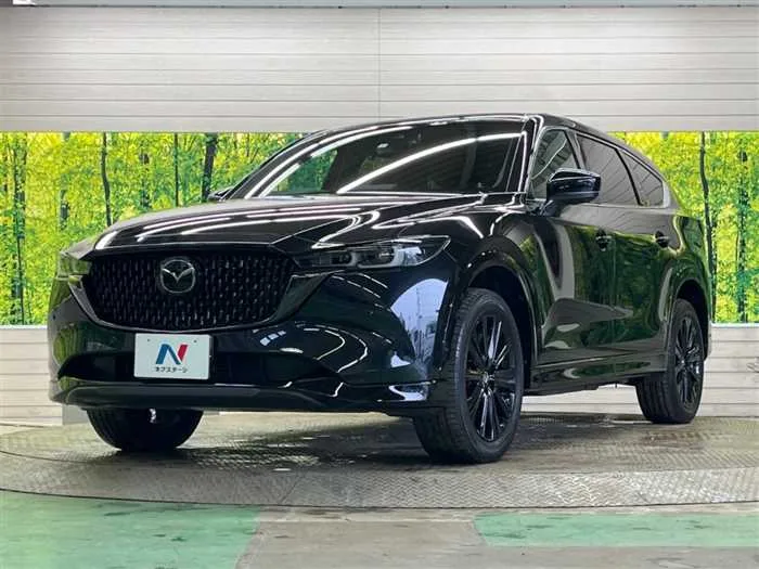 Mazda CX-8 2023 — миниатюра 5
