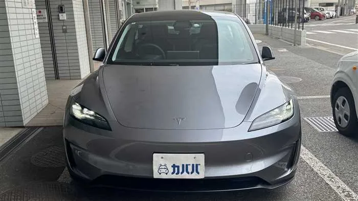 Tesla Motors Others 2024 — миниатюра 2