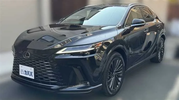 Lexus RX 450h+ L 2023 — фото 1, купить с доставкой в Москву