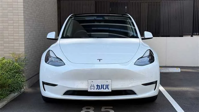 Tesla Motors Others 2022 — миниатюра 2