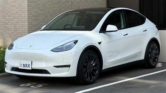 Tesla Motors Others 2022 — фото 1, купить с доставкой в Москву