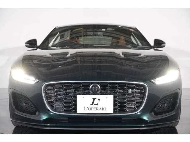 Jaguar Jaguar Others 2023 — миниатюра 4