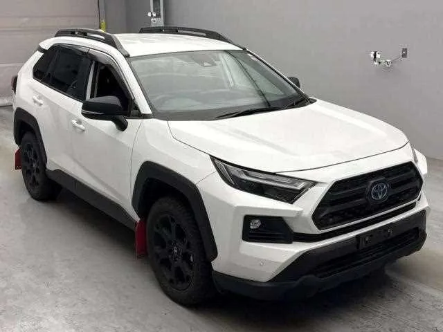 Toyota RAV4 2023 — фото 1, купить с доставкой в Москву