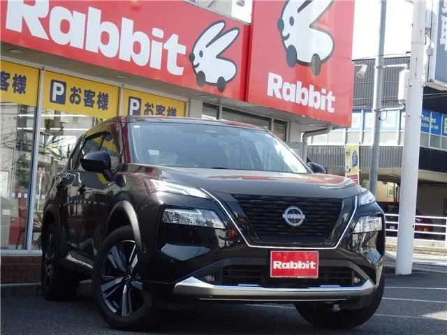 Nissan X-Trail G e-4ORCE 2024 — фото 1, купить с доставкой в Москву