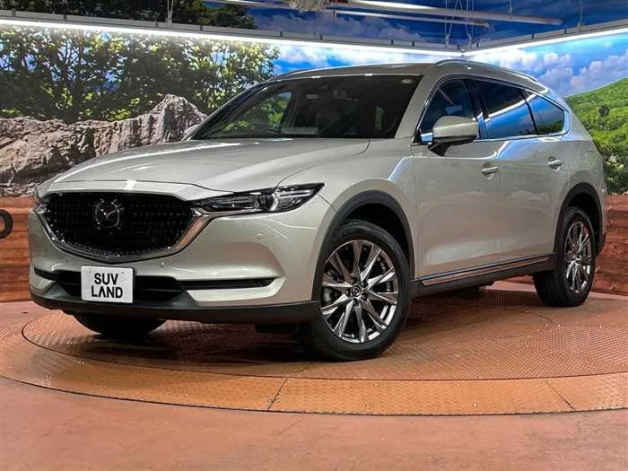 Mazda CX-8 2022 — фото 1, купить с доставкой в Москву