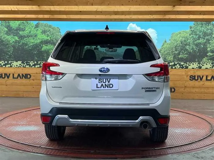 Subaru Forester 2024 — миниатюра 3