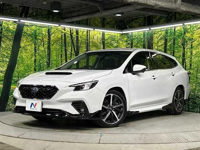 Subaru Levorg 2023 — фото 1, купить с доставкой в Москву