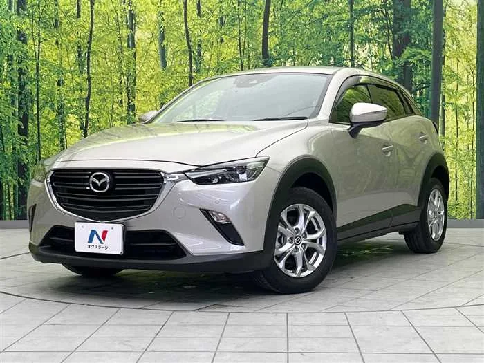 Mazda CX-3 2022 — фото 1, купить с доставкой в Москву