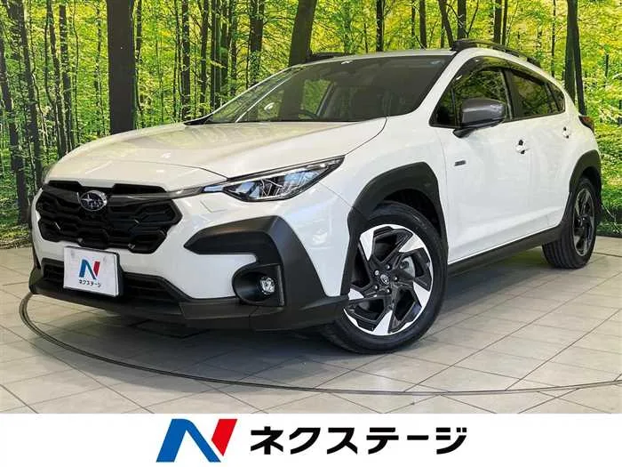 Subaru Subaru Others 2023 — миниатюра 4
