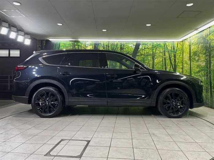Mazda CX-8 2023 — миниатюра 5