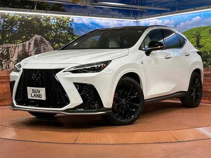 Lexus NX 2023 — фото 1, купить с доставкой в Москву