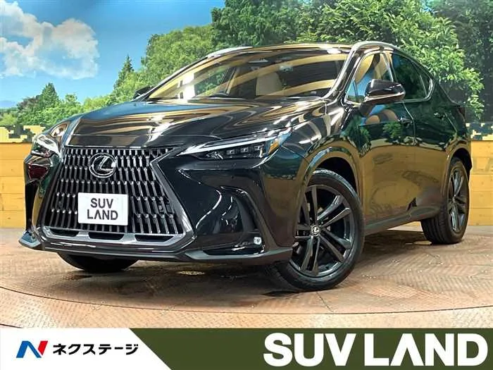 Lexus NX 2023 — миниатюра 4