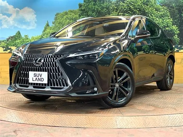 Lexus NX 2023 — фото 1, купить с доставкой в Москву