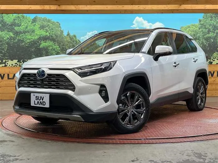 Toyota RAV4 2024 — фото 1, купить с доставкой в Москву