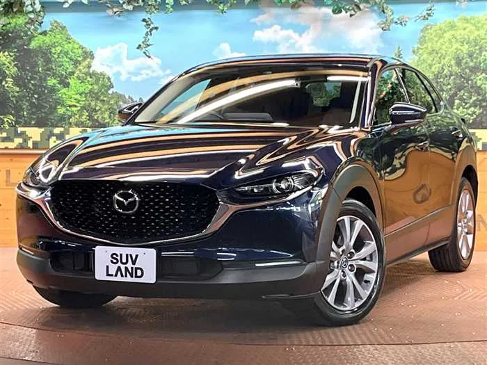 Mazda Mazda Others 2023 — фото 1, купить с доставкой в Москву