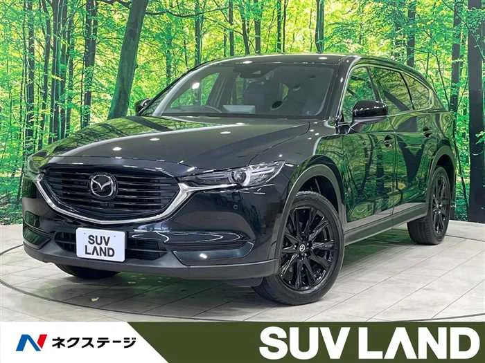 Mazda CX-8 2022 — миниатюра 4