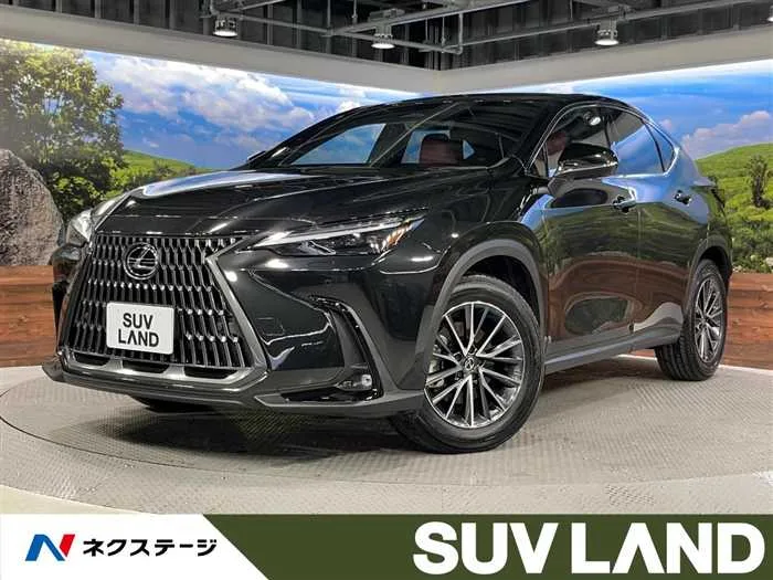 Lexus NX 2023 — миниатюра 4