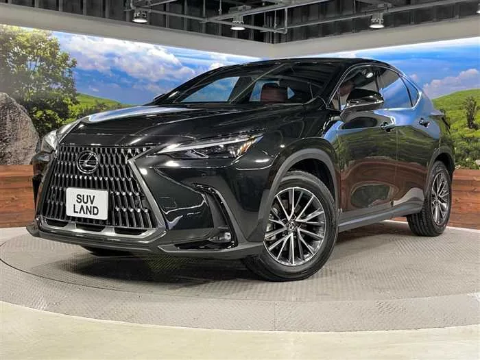 Lexus NX 2023 — фото 1, купить с доставкой в Москву