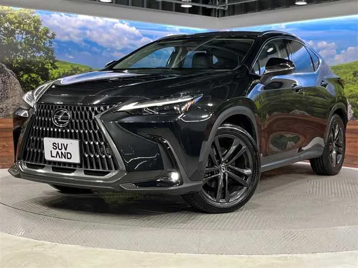 Lexus NX 2023 — фото 1, купить с доставкой в Москву