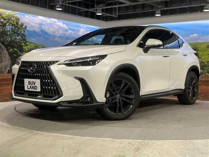 Lexus NX 2023 — фото 1, купить с доставкой в Москву