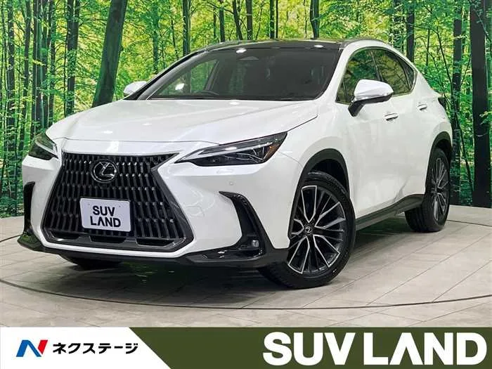 Lexus NX 2023 — миниатюра 4
