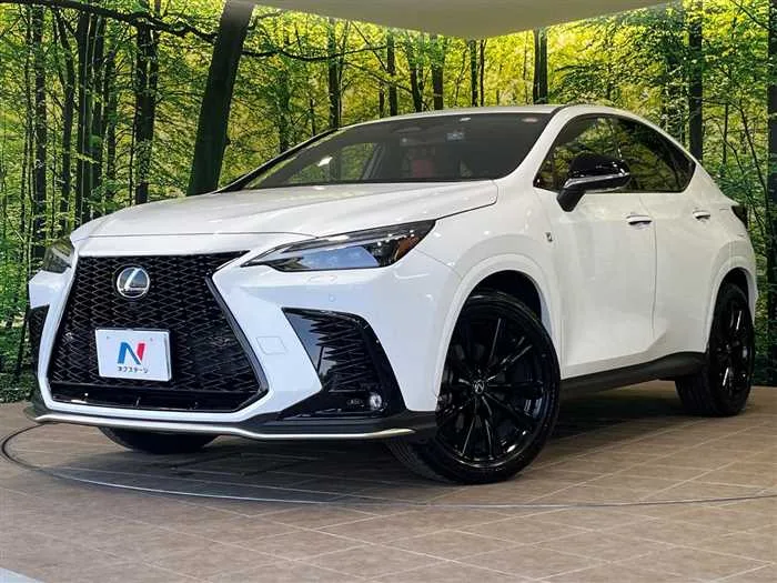 Lexus NX 2023 — фото 1, купить с доставкой в Москву