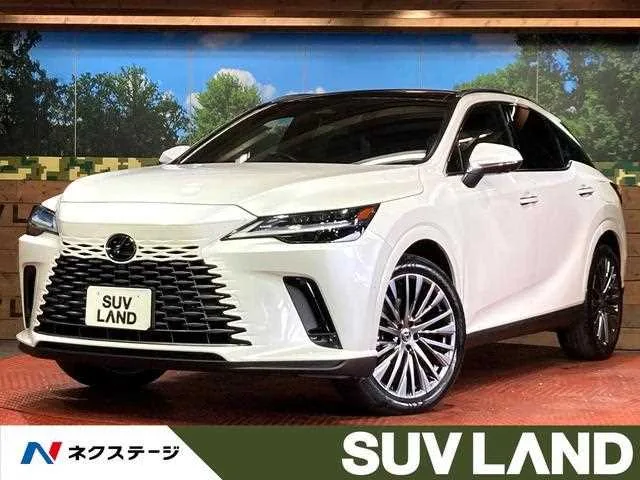 Lexus RX 2023 — фото 1, купить с доставкой в Москву