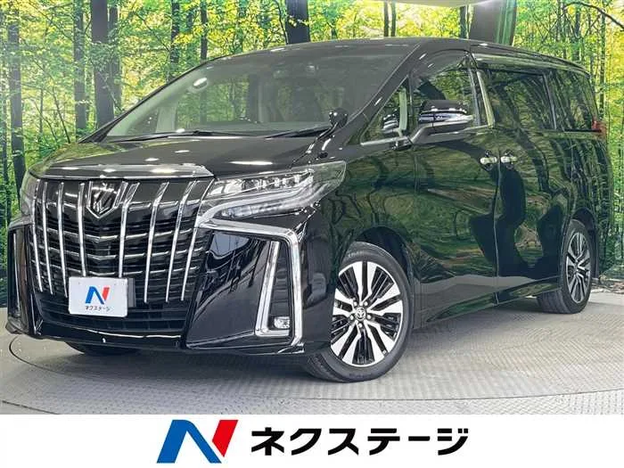 Toyota Alphard 2022 — миниатюра 4