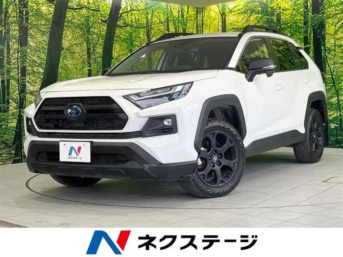 Toyota RAV4 2023 — миниатюра 4