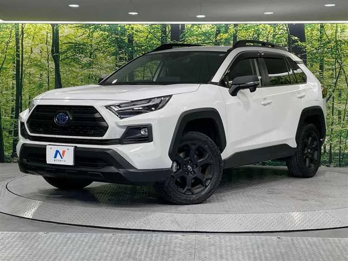 Toyota RAV4 2024 — фото 1, купить с доставкой в Москву