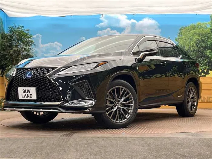 Lexus RX 2022 — фото 1, купить с доставкой в Москву