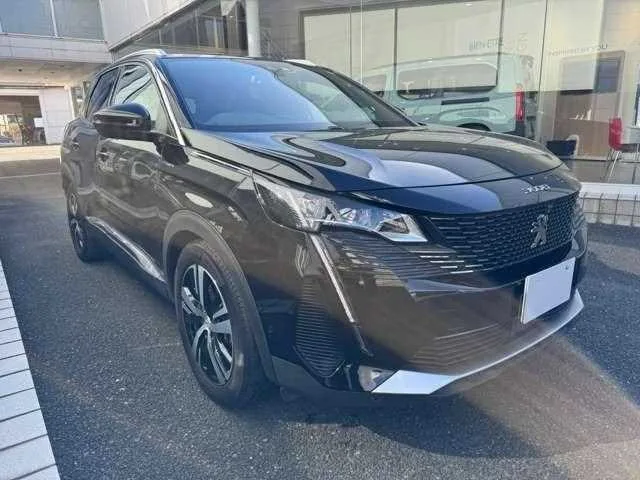 Peugeot Peugoet Others 2023 — миниатюра 4