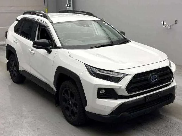 Toyota RAV4 2023 — фото 1, купить с доставкой в Москву