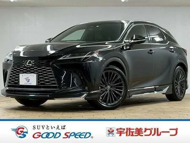 Lexus RX 2023 — фото 1, купить с доставкой в Москву