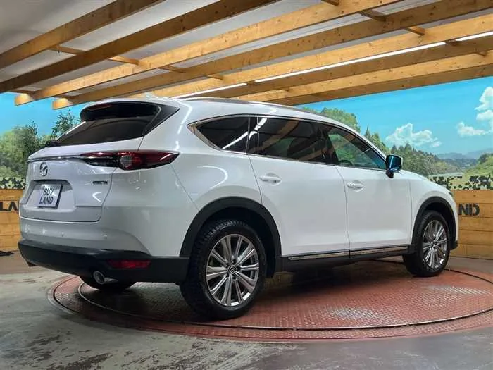 Mazda CX-8 2022 — миниатюра 5