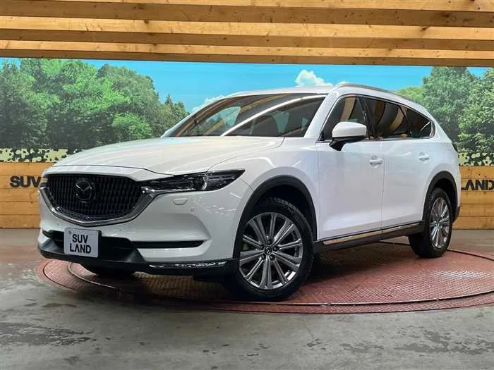 Mazda CX-8 2022 — фото 1, купить с доставкой в Москву