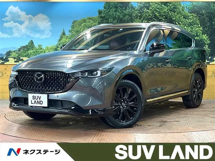 Mazda CX-8 2023 — миниатюра 4