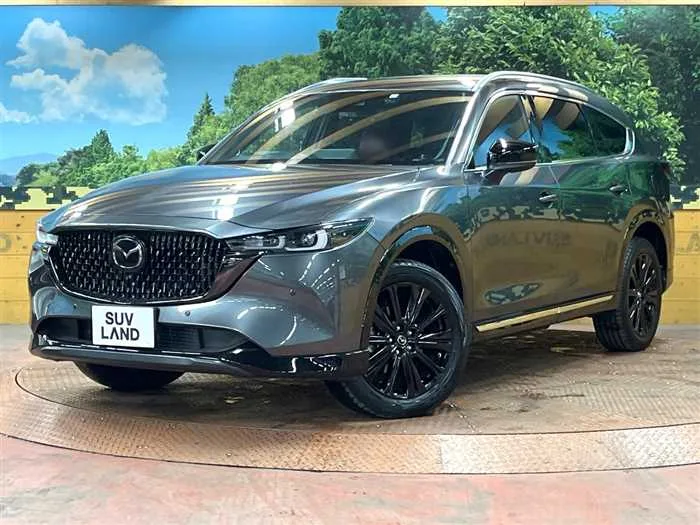 Mazda CX-8 2023 — фото 1, купить с доставкой в Москву