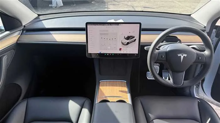 Tesla Motors Others RWD 2022 — миниатюра 2