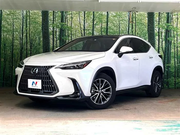 Lexus NX 2023 — фото 1, купить с доставкой в Москву