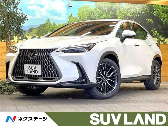 Lexus NX 2023 — фото 1, купить с доставкой в Москву