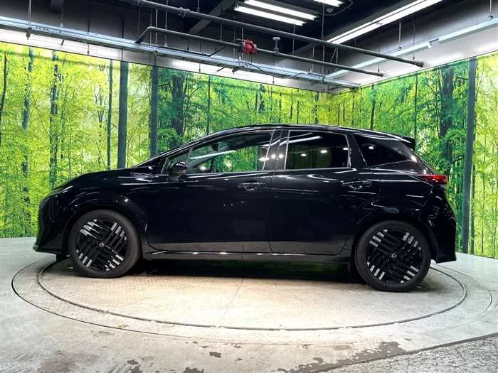 Nissan Nissan Others 2025 — миниатюра 5