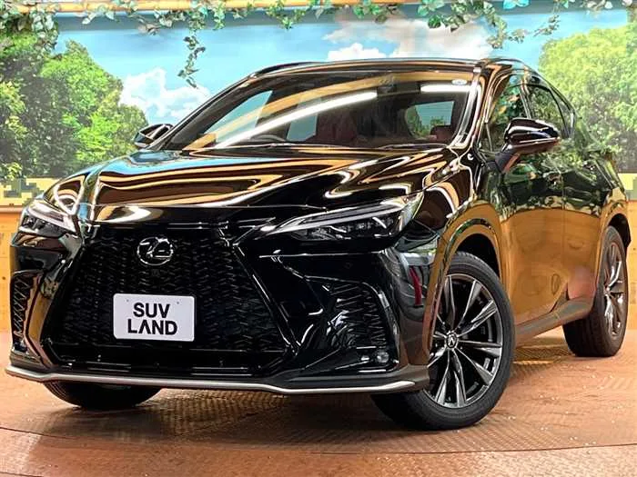 Lexus NX 2023 — фото 1, купить с доставкой в Москву