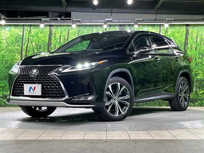Lexus RX 2022 — фото 1, купить с доставкой в Москву
