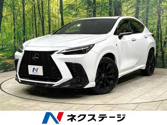 Lexus NX 2022 — миниатюра 4