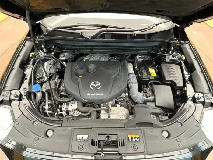 Mazda CX-8 2022 — миниатюра 2